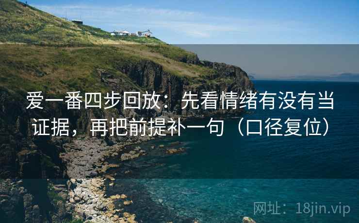 爱一番四步回放：先看情绪有没有当证据，再把前提补一句（口径复位）
