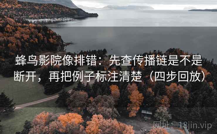 蜂鸟影院像排错：先查传播链是不是断开，再把例子标注清楚（四步回放）