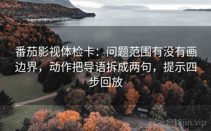 番茄影视体检卡：问题范围有没有画边界，动作把导语拆成两句，提示四步回放