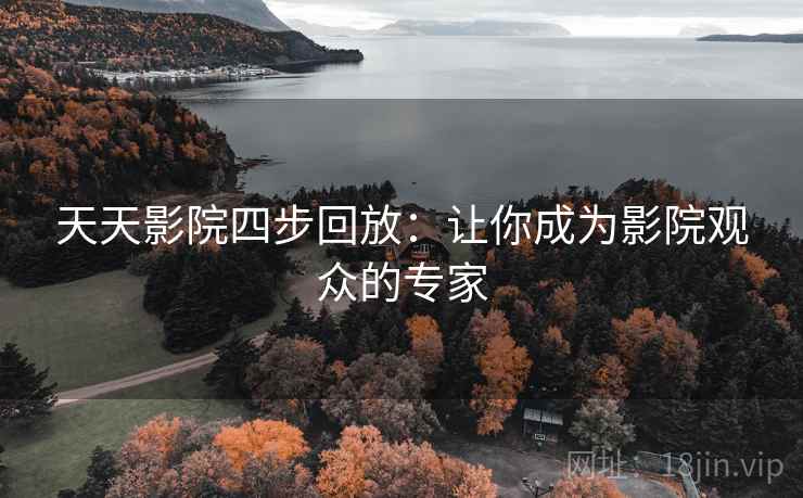 天天影院四步回放：让你成为影院观众的专家