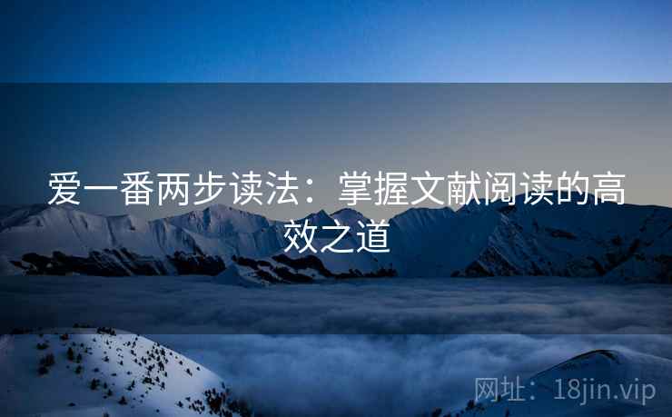 爱一番两步读法：掌握文献阅读的高效之道