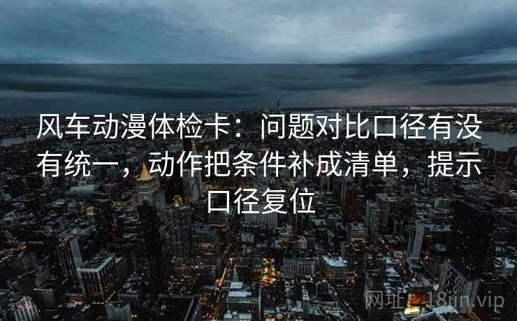 风车动漫体检卡：问题对比口径有没有统一，动作把条件补成清单，提示口径复位