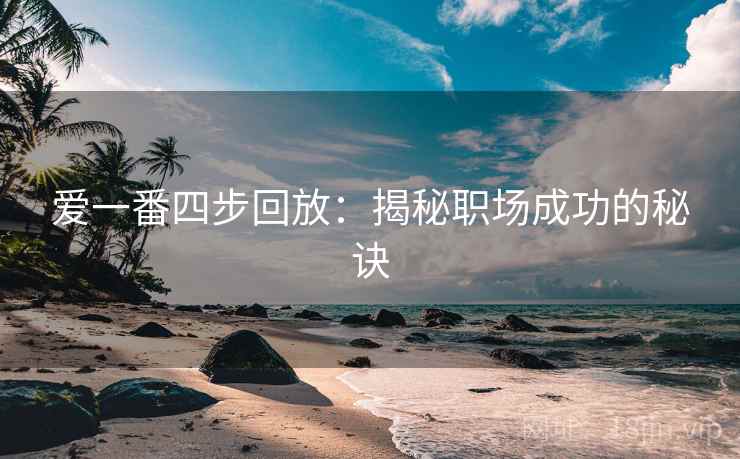 爱一番四步回放：揭秘职场成功的秘诀